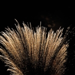 13Juillet2017_134.jpg