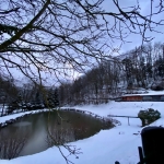 L'étang sous la neige du 25/01/2021.