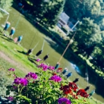 IMG_7911.jpg