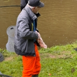 IMG_2219.jpeg