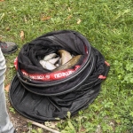 IMG_3819.jpeg