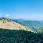 IMG_4344.jpg